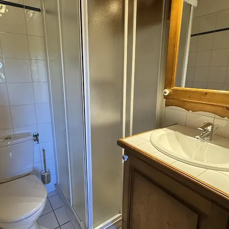 5 Pièces - Piscine Et Spa, Capacité 8 Pers. - Fr-1-836-60 Appartement Les Carroz d'Arâches